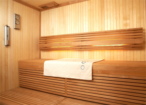 Midi Vision Sauna, FISA Sauny, saunové kabíny, Saunabau, suchá sauna, Tylö sauny